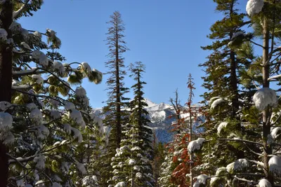 DSC_6665 (Large).JPG